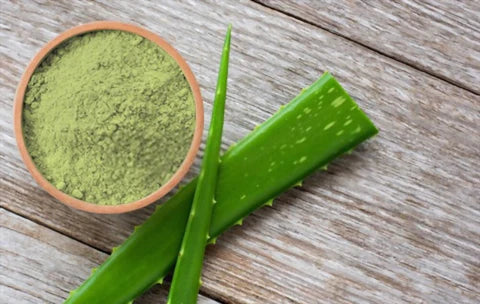 Aloe Vera Powder