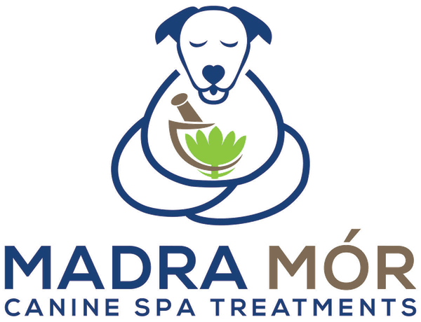 Madra Mór Canine Spa Treatments
