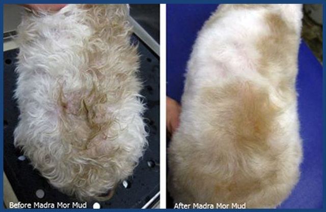 Before and after Madra Mor mud, side by side