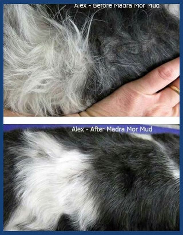 Alex, before and after Madra Mor mud