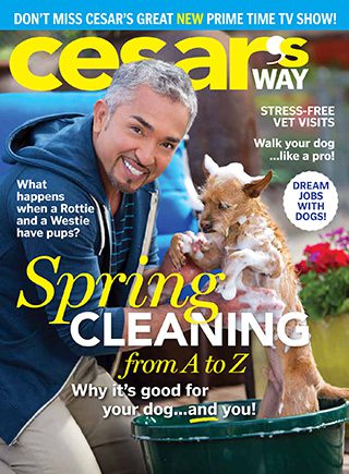 Cesars Way Magazine